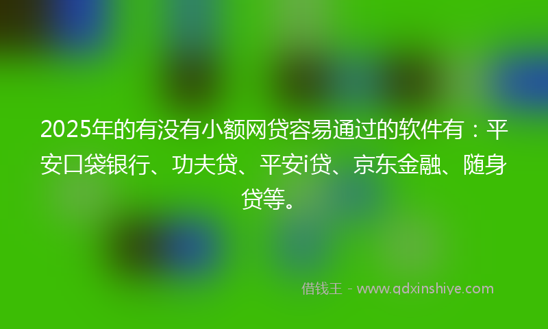 2025年的有没有小额网贷容易通过的软件有：平安口袋银行、功夫贷、平安i贷、京东金融、随身贷等。