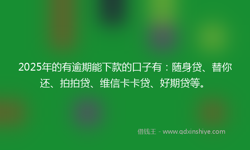 2025年的有逾期能下款的口子有：随身贷、替你还、拍拍贷、维信卡卡贷、好期贷等。