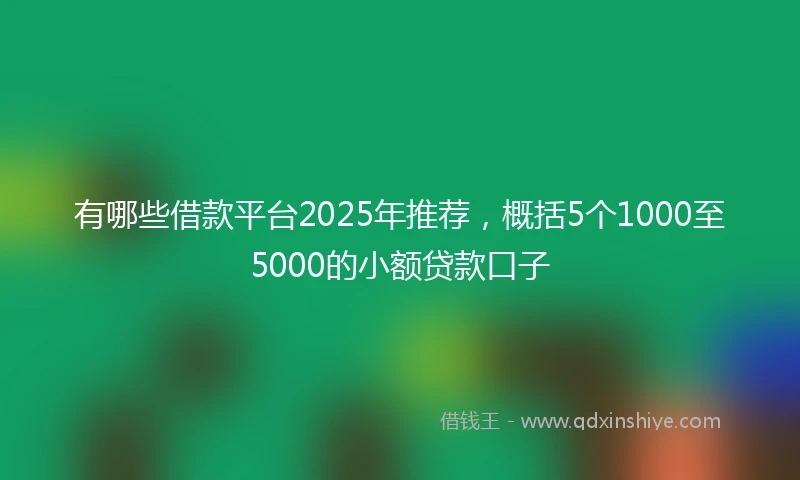 有哪些借款平台2025年推荐，概括5个1000至5000的小额贷款口子