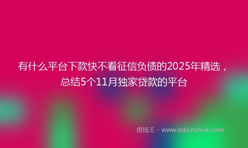 有什么平台下款快不看征信负债的2025年精选，总结5个11月独家贷款的平台