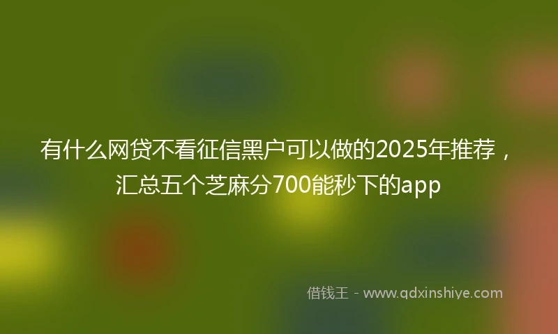有什么网贷不看征信黑户可以做的2025年推荐，汇总五个芝麻分700能秒下的app