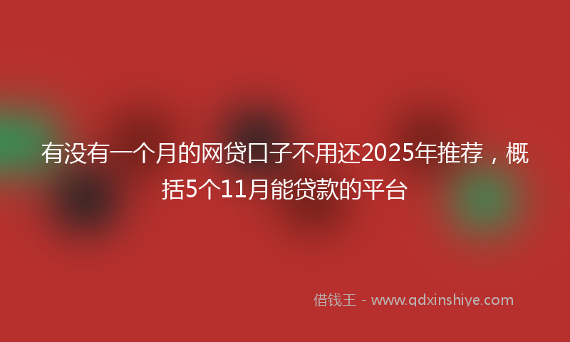 有没有一个月的网贷口子不用还2025年推荐，概括5个11月能贷款的平台
