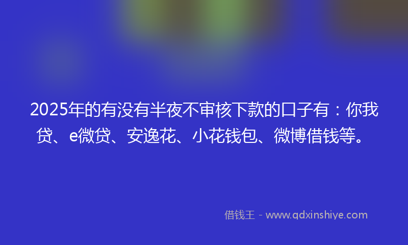 2025年的有没有半夜不审核下款的口子有：你我贷、e微贷、安逸花、小花钱包、微博借钱等。
