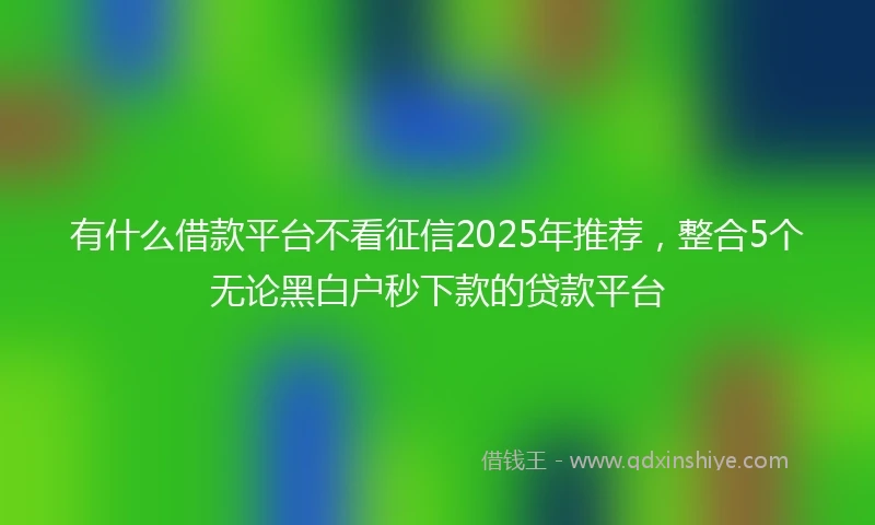 有什么借款平台不看征信2025年推荐，整合5个无论黑白户秒下款的贷款平台