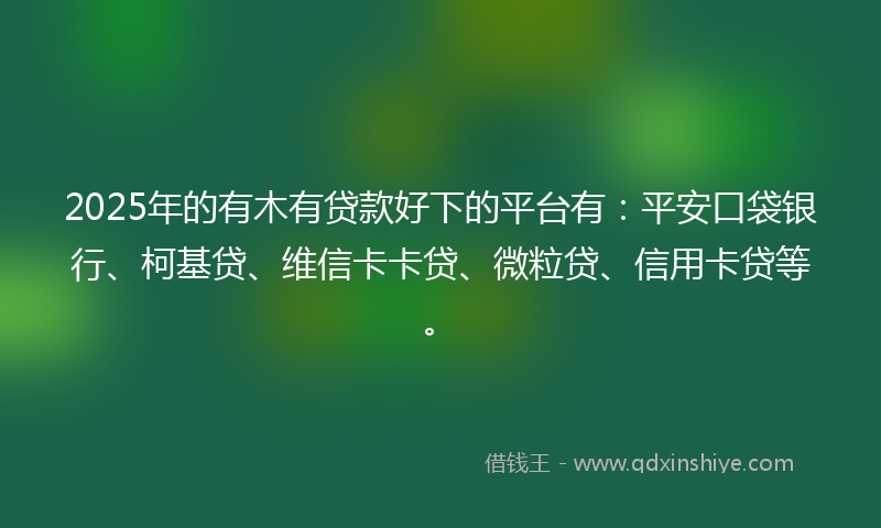 2025年的有木有贷款好下的平台有：平安口袋银行、柯基贷、维信卡卡贷、微粒贷、信用卡贷等。