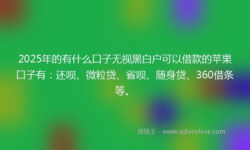 2025年的有什么口子无视黑白户可以借款的苹果口子有：还呗、微粒贷、省呗、随身贷、360借条等。