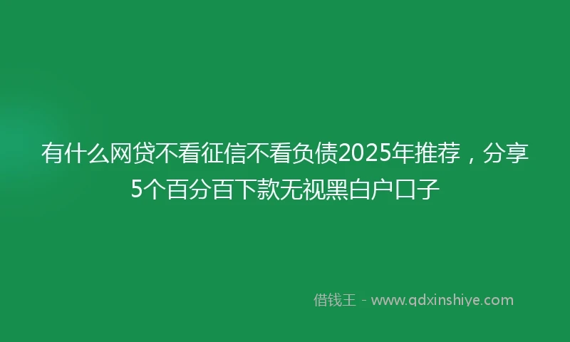 有什么网贷不看征信不看负债2025年推荐，分享5个百分百下款无视黑白户口子