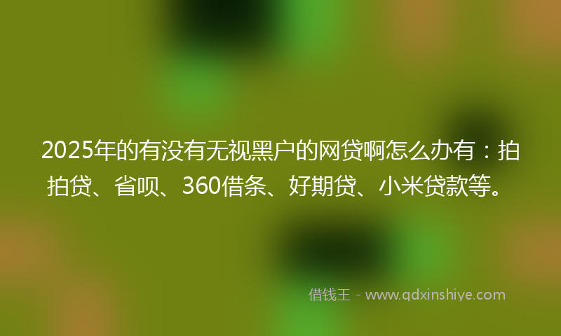 2025年的有没有无视黑户的网贷啊怎么办有：拍拍贷、省呗、360借条、好期贷、小米贷款等。