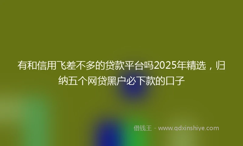 有和信用飞差不多的贷款平台吗2025年精选，归纳五个网贷黑户必下款的口子