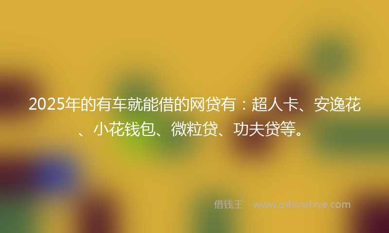 2025年的有车就能借的网贷有：超人卡、安逸花、小花钱包、微粒贷、功夫贷等。