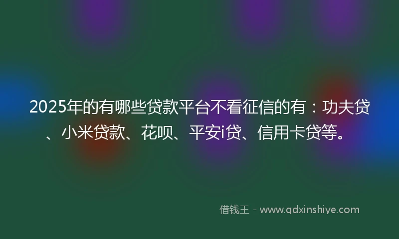 2025年的有哪些贷款平台不看征信的有：功夫贷、小米贷款、花呗、平安i贷、信用卡贷等。