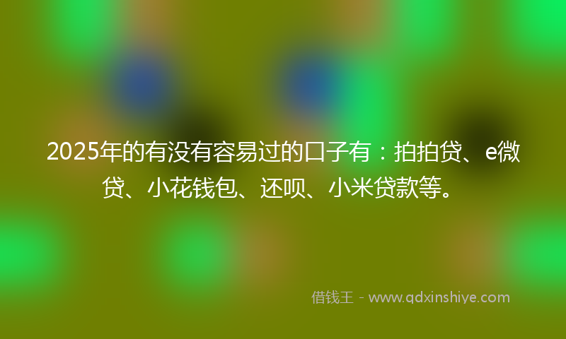 2025年的有没有容易过的口子有：拍拍贷、e微贷、小花钱包、还呗、小米贷款等。