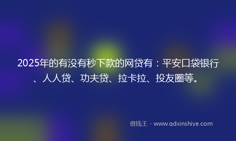 2025年的有没有秒下款的网贷有：平安口袋银行、人人贷、功夫贷、拉卡拉、投友圈等。
