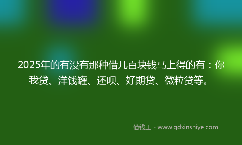 2025年的有没有那种借几百块钱马上得的有：你我贷、洋钱罐、还呗、好期贷、微粒贷等。