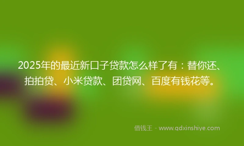 2025年的最近新口子贷款怎么样了有:替你还、拍拍贷、小米贷款、团贷网、百度有钱花等。