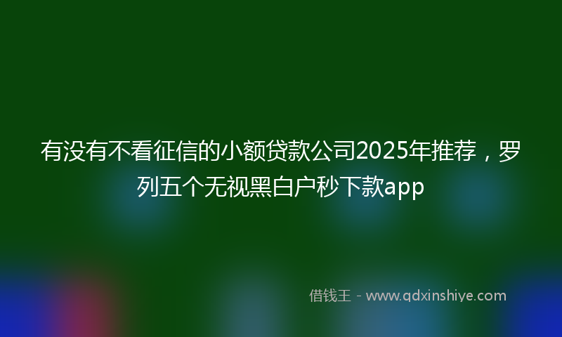 有没有不看征信的小额贷款公司2025年推荐，罗列五个无视黑白户秒下款app