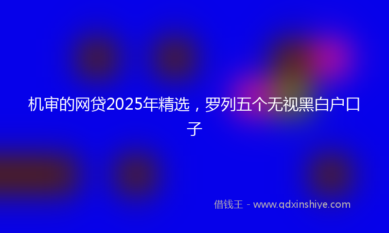 机审的网贷2025年精选，罗列五个无视黑白户口子