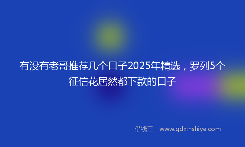 有没有老哥推荐几个口子2025年精选，罗列5个征信花居然都下款的口子