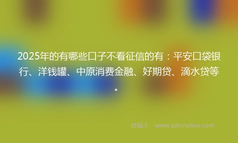 2025年的有哪些口子不看征信的有：平安口袋银行、洋钱罐、中原消费金融、好期贷、滴水贷等。
