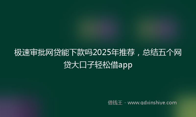 极速审批网贷能下款吗2025年推荐，总结五个网贷大口子轻松借app