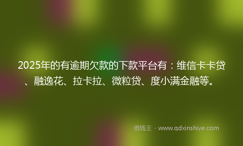 2025年的有逾期欠款的下款平台有：维信卡卡贷、融逸花、拉卡拉、微粒贷、度小满金融等。
