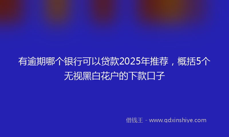 有逾期哪个银行可以贷款2025年推荐，概括5个无视黑白花户的下款口子