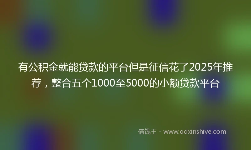 有公积金就能贷款的平台但是征信花了2025年推荐，整合五个1000至5000的小额贷款平台