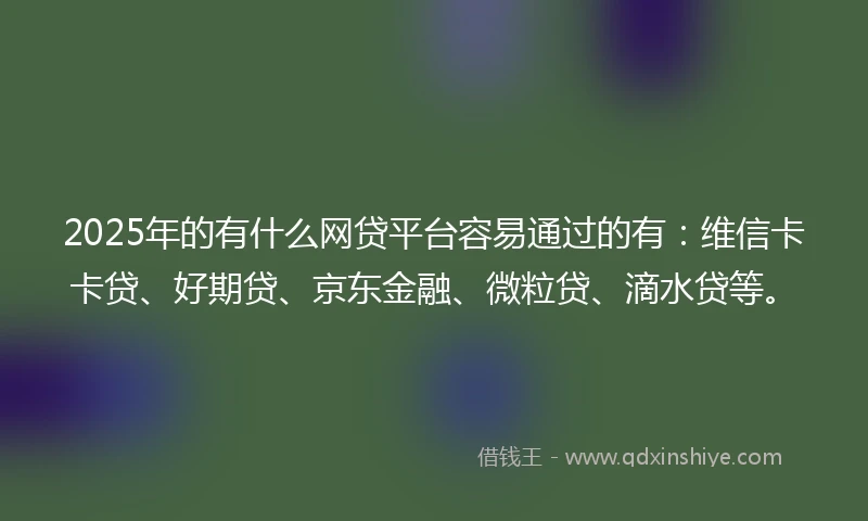 2025年的有什么网贷平台容易通过的有：维信卡卡贷、好期贷、京东金融、微粒贷、滴水贷等。