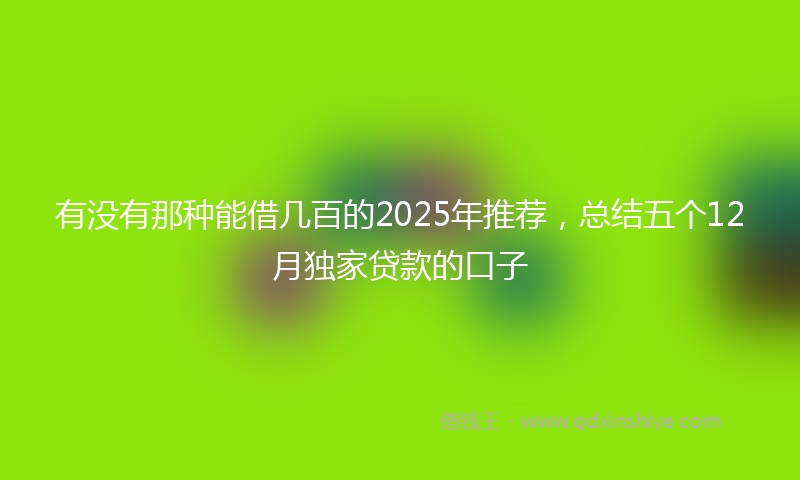 有没有那种能借几百的2025年推荐，总结五个12月独家贷款的口子