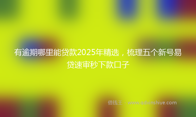 有逾期哪里能贷款2025年精选，梳理五个新号易贷速审秒下款口子