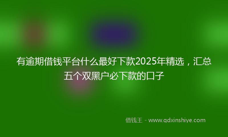 有逾期借钱平台什么最好下款2025年精选，汇总五个双黑户必下款的口子