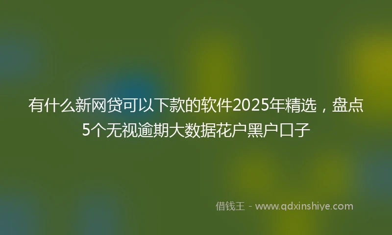 有什么新网贷可以下款的软件2025年精选，盘点5个无视逾期大数据花户黑户口子