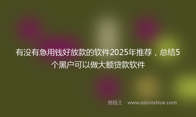 有没有急用钱好放款的软件2025年推荐，总结5个黑户可以做大额贷款软件