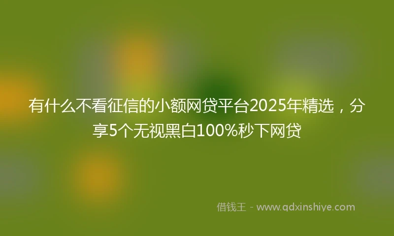 有什么不看征信的小额网贷平台2025年精选，分享5个无视黑白100%秒下网贷