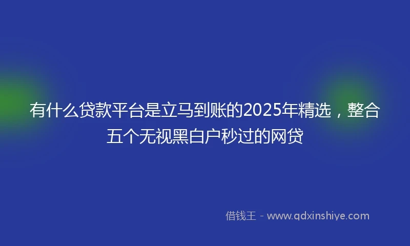 有什么贷款平台是立马到账的2025年精选，整合五个无视黑白户秒过的网贷