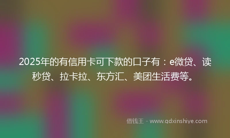 2025年的有信用卡可下款的口子有：e微贷、读秒贷、拉卡拉、东方汇、美团生活费等。