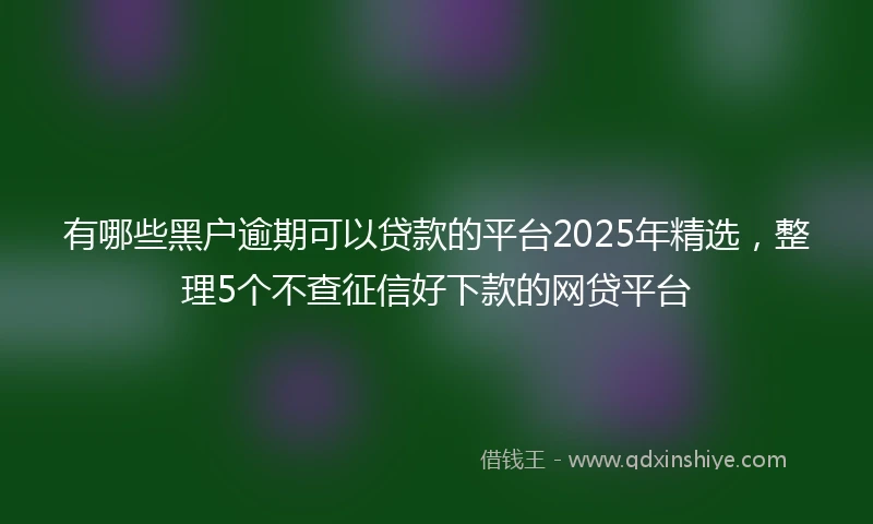 有哪些黑户逾期可以贷款的平台2025年精选，整理5个不查征信好下款的网贷平台