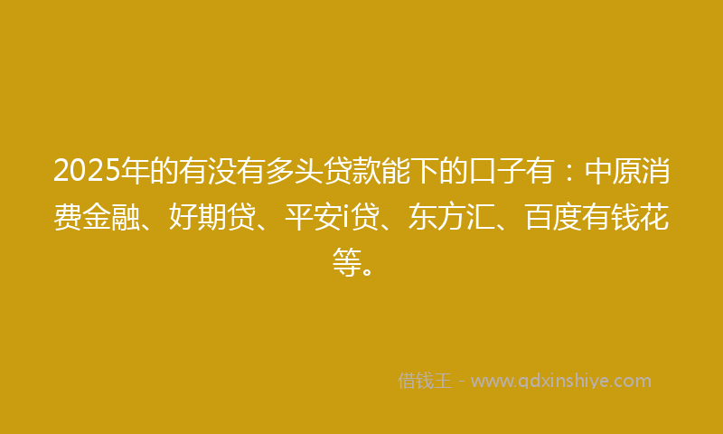 2025年的有没有多头贷款能下的口子有：中原消费金融、好期贷、平安i贷、东方汇、百度有钱花等。