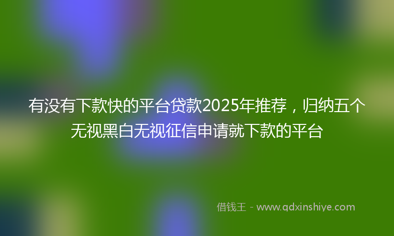 有没有下款快的平台贷款2025年推荐，归纳五个无视黑白无视征信申请就下款的平台