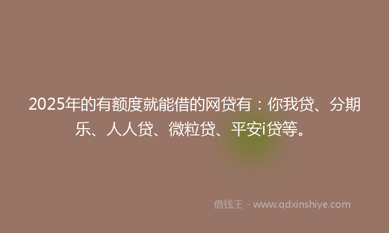 2025年的有额度就能借的网贷有：你我贷、分期乐、人人贷、微粒贷、平安i贷等。