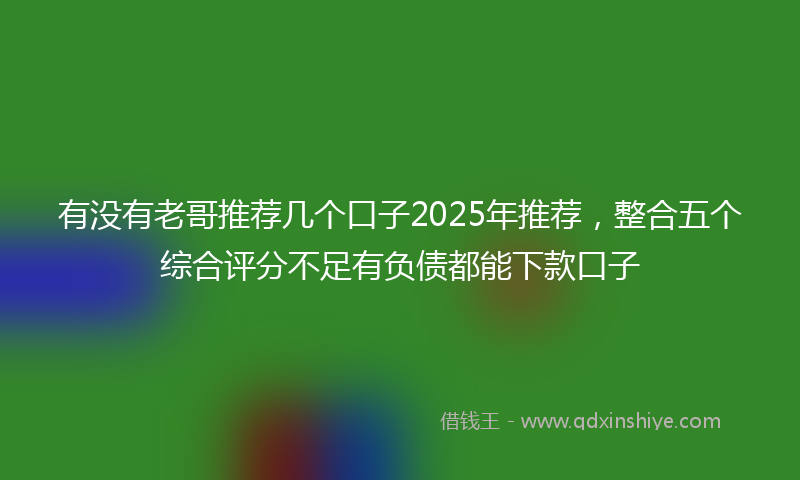 有没有老哥推荐几个口子2025年推荐，整合五个综合评分不足有负债都能下款口子