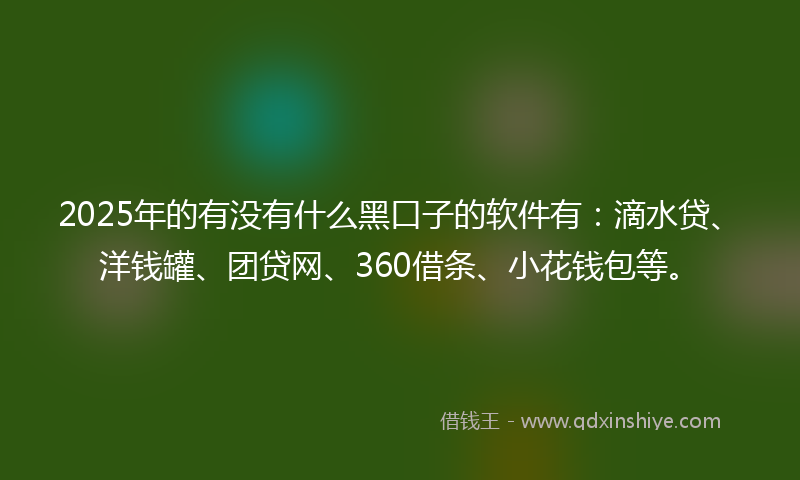 2025年的有没有什么黑口子的软件有：滴水贷、洋钱罐、团贷网、360借条、小花钱包等。