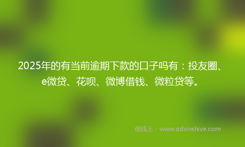 2025年的有当前逾期下款的口子吗有：投友圈、e微贷、花呗、微博借钱、微粒贷等。
