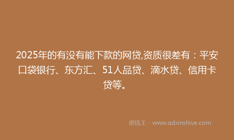 2025年的有没有能下款的网贷,资质很差有：平安口袋银行、东方汇、51人品贷、滴水贷、信用卡贷等。