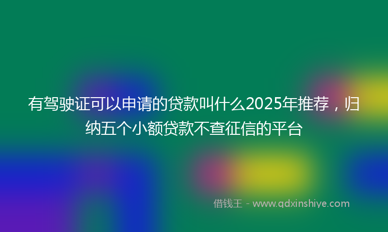 有驾驶证可以申请的贷款叫什么2025年推荐，归纳五个小额贷款不查征信的平台