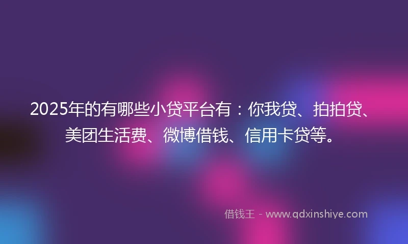 2025年的有哪些小贷平台有：你我贷、拍拍贷、美团生活费、微博借钱、信用卡贷等。