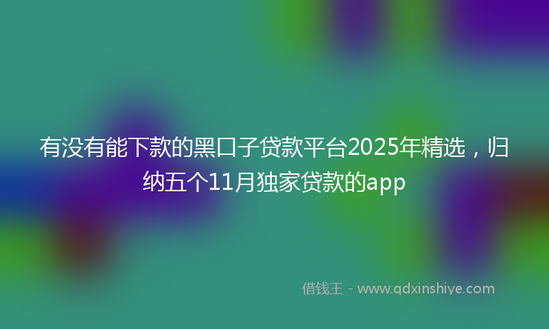 有没有能下款的黑口子贷款平台2025年精选，归纳五个11月独家贷款的app