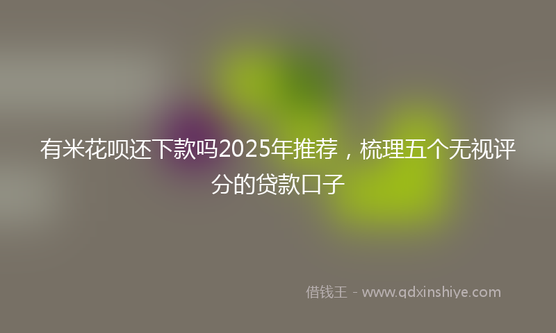 有米花呗还下款吗2025年推荐，梳理五个无视评分的贷款口子