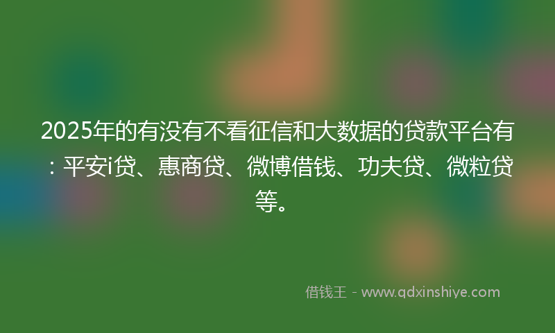 2025年的有没有不看征信和大数据的贷款平台有：平安i贷、惠商贷、微博借钱、功夫贷、微粒贷等。