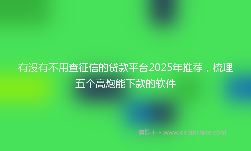 有没有不用查征信的贷款平台2025年推荐，梳理五个高炮能下款的软件